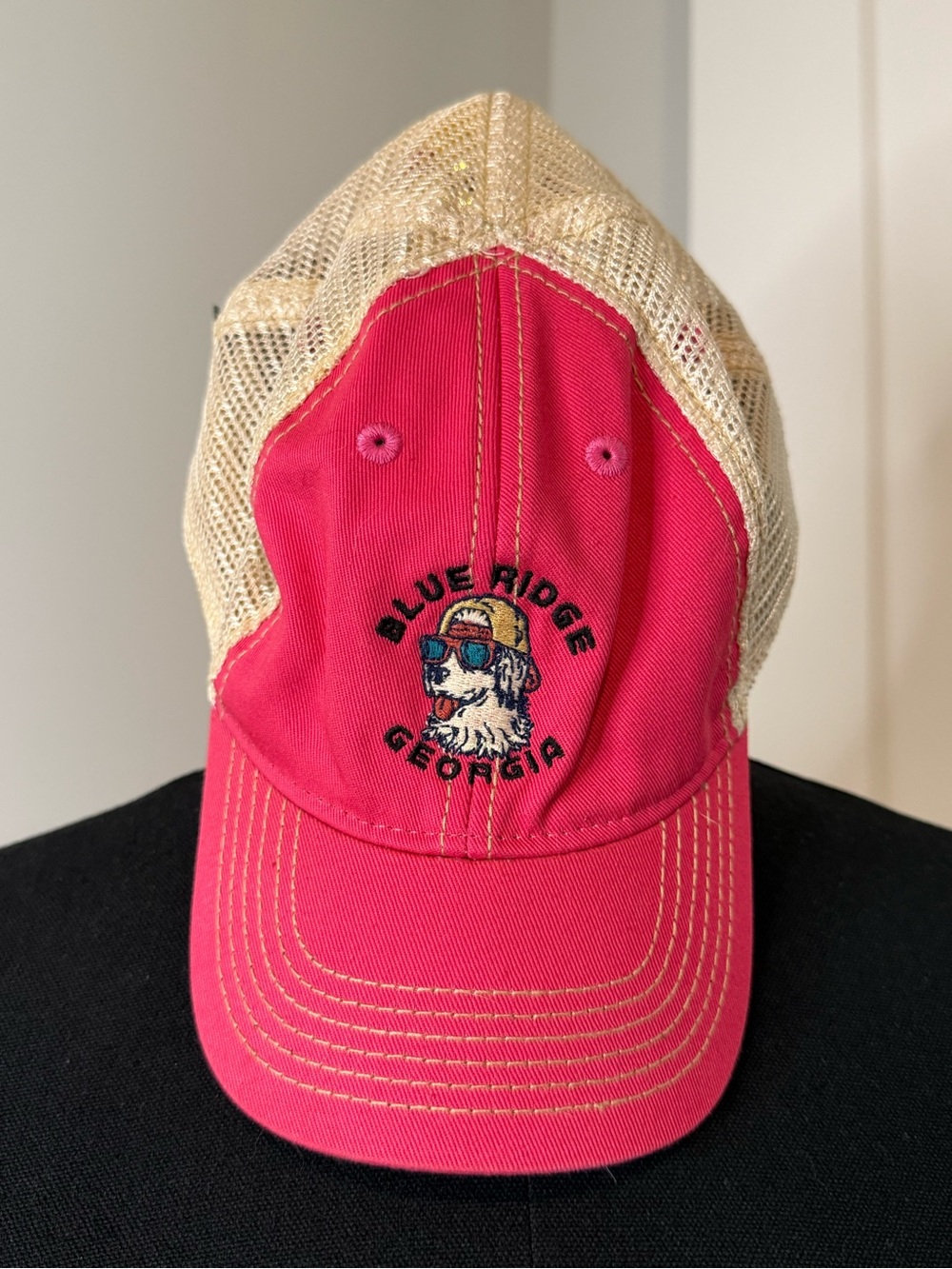 Blue Ridge Georgia - Legacy Kids Pink Mesh Trucker Hat